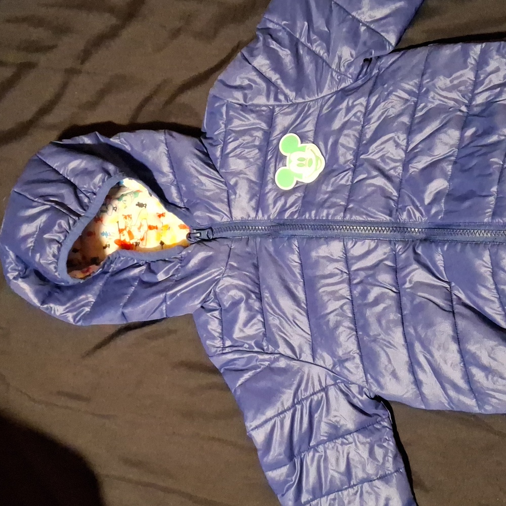 Disney Windbreaker
